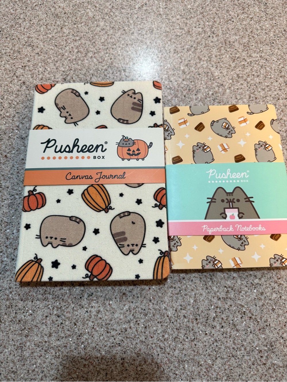 Pusheen NWT Journal Bundle Canvas + Notebooks Pumpkin Strawberry Cute